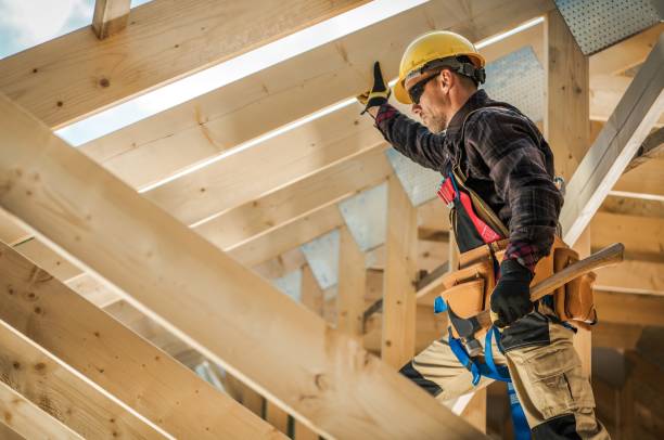 Best Roof Gutter Cleaning  in Le Claire, IA