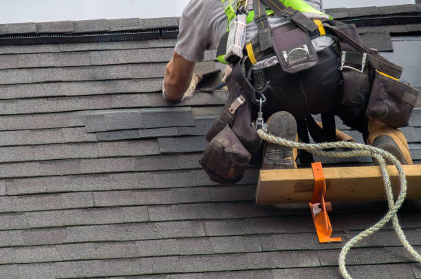 Best Flat Roof Repair Services  in Le Claire, IA