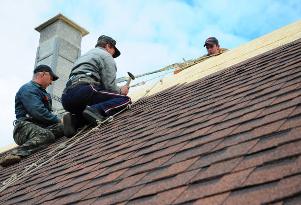 Best Best Roofing Contractors  in Le Claire, IA
