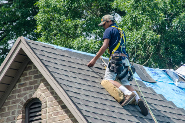 Best Shingle Roofing Installation  in Le Claire, IA